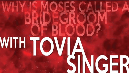Question: Why is Moses Called the Bridegroom of Blood?