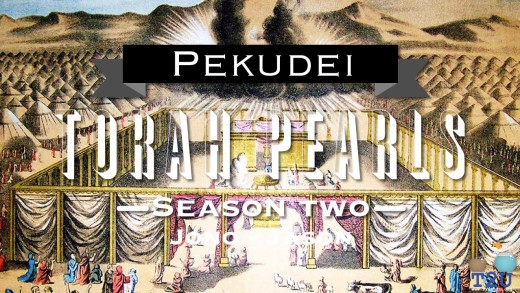 Torah Pearls – Season 2 – Pekudei