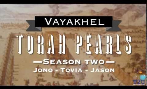 Torah Pearls – Season 2 – Vayakhel