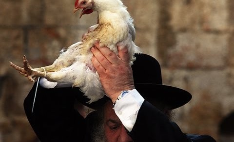 Rabbi Tovia Singer Explains Why Jews Wave A Chicken to Cleanse Their Sins on the Eve of Yom Kippur