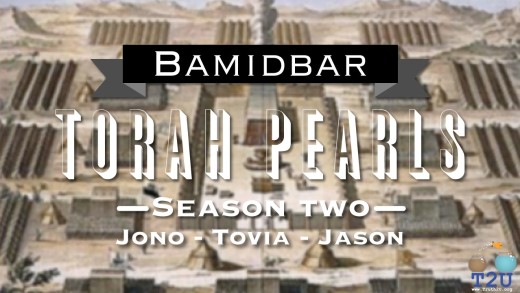 Torah Pearls – Season 2 – Bamidbar