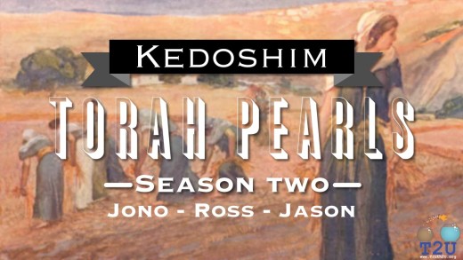 Torah Pearls – Season 2 – Kedoshim