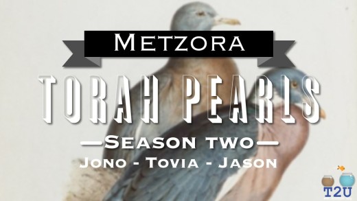 Torah Pearls – Season 2 – Metzorah
