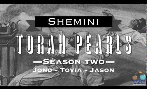 Torah Pearls – Season 2 – Shmini