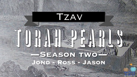 Torah Pearls – Season 2 – Tzav