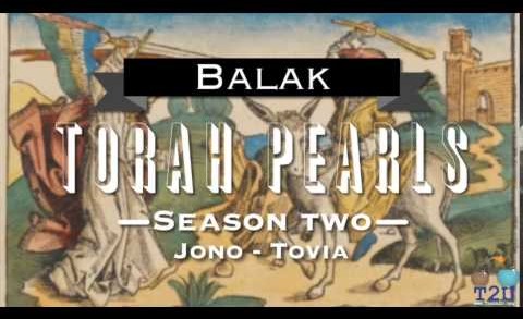Torah Pearls – Season 2 – Balak