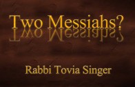 Rabbi Tovia Singer Demonstrates that Prophets Opposed Christian Vicarious Atonement