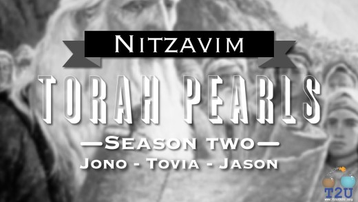 Torah Pearls – Season2 – Nitzavim