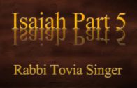 Rabbi Tovia Singer Demonstrates that Prophets Opposed Christian Vicarious Atonement
