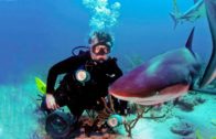 Watch Rabbi Tovia Singer Take You on an Underwater Journey of the World’s Most Stunning Marine Life