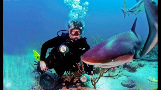 Watch Rabbi Tovia Singer Take You on an Underwater Journey of the World’s Most Stunning Marine Life